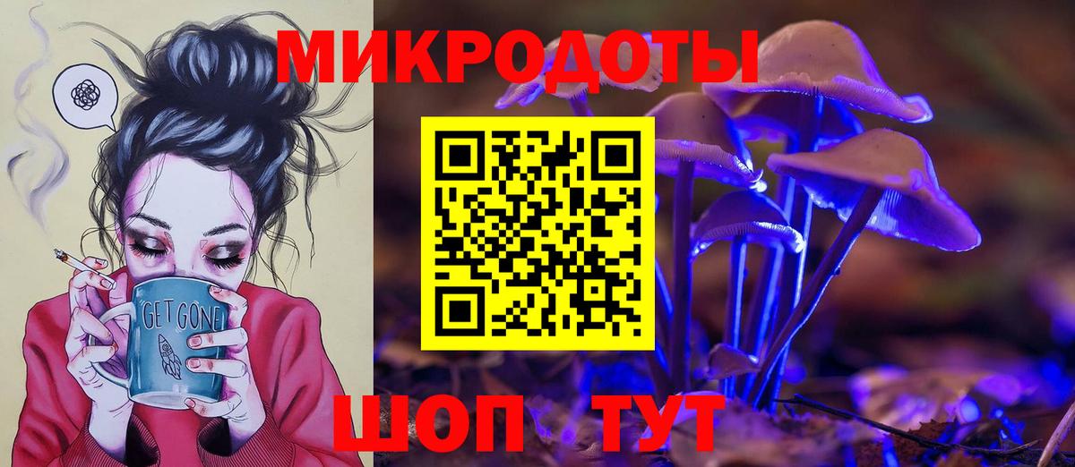 Псилоцибиновые грибы Psilocybe Вологда