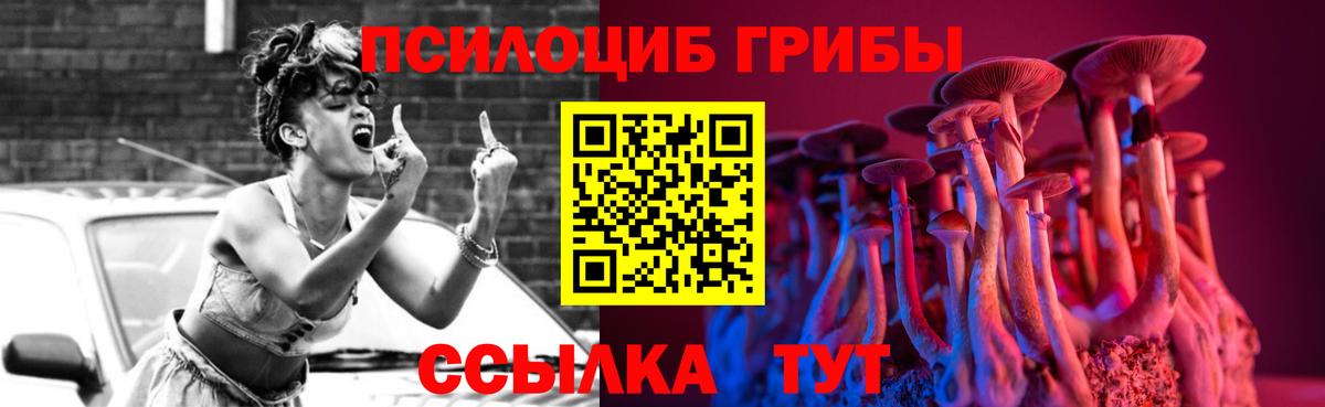 Вологда  Галлюциногенные грибы Cubensis  купить наркоту  Вход с VPN 